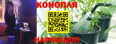 гидропоника Кунгур