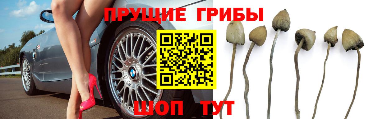 Галлюциногенные грибы мицелий  Галлюциногенные грибы MAGIC MUSHROOMS  Жуковский  Вход с VPN 